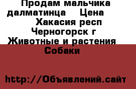 Продам мальчика далматинца! › Цена ­ 1 000 - Хакасия респ., Черногорск г. Животные и растения » Собаки   